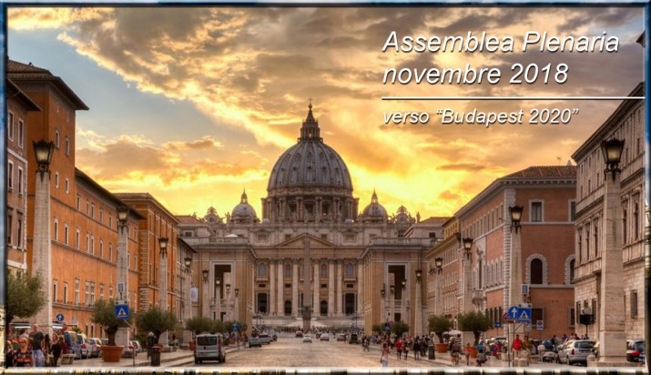L'Assemblea Plenaria del novembre 2018